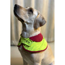 Pet Dog Cape Collar