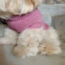 Winter Sweater for Small Dogs