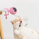 Interactive Toy For Cats & Kittens