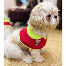 Pet Dog Cape Collar – Stylish Red