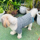 Winter Sweater For Dogs and Cats