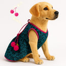 Ethnic Frock with Tie-Up Outfit for Dog & Cat
