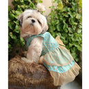 Traditional Dog Dress for Small, Medium & Large Dogs