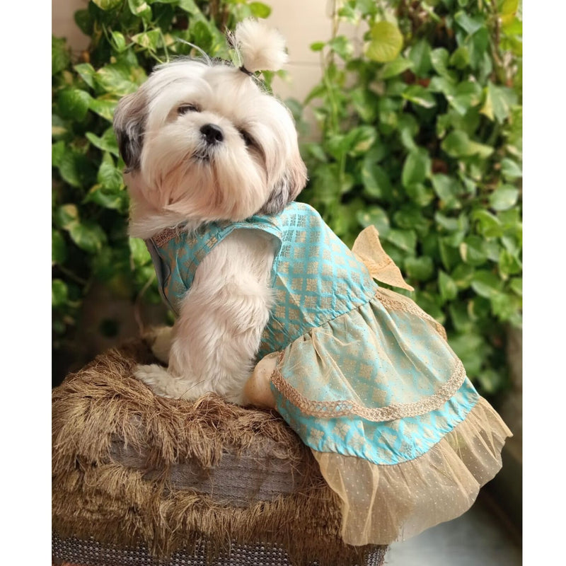 Traditional Dog Dress for Small, Medium & Large Dogs