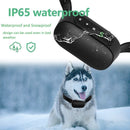 Smart Dog Bark Collar Training for Small to Large Dogs