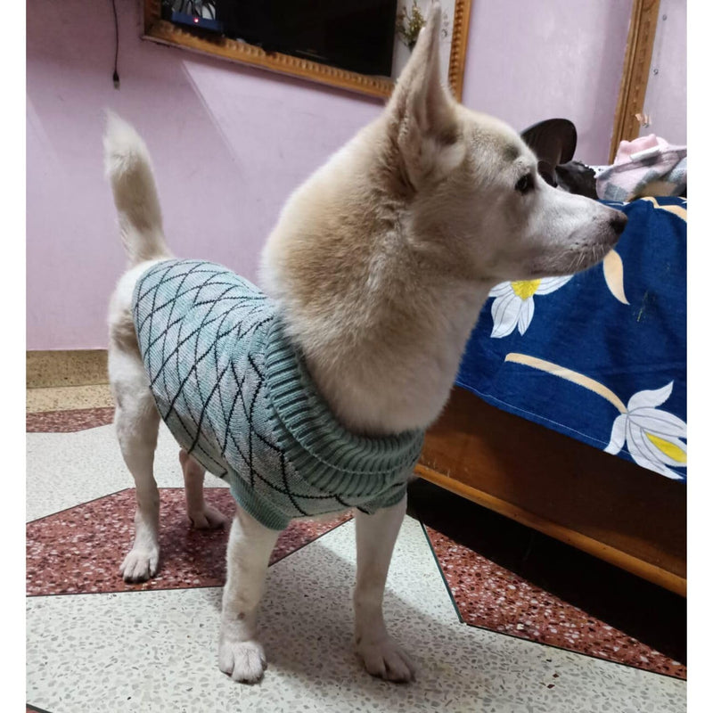 Winter Sweater For Dogs and Cats ( Sea Green )