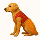 Traditional Sari-Style Ethnic Outfit for Dog & Cat