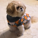 Winter Sweater For Dogs and Cats ( Grey/Orange )
