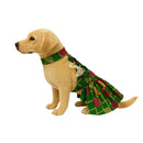 Ethnic Golden Dress with Ruffled Sleeves For Female Dogs