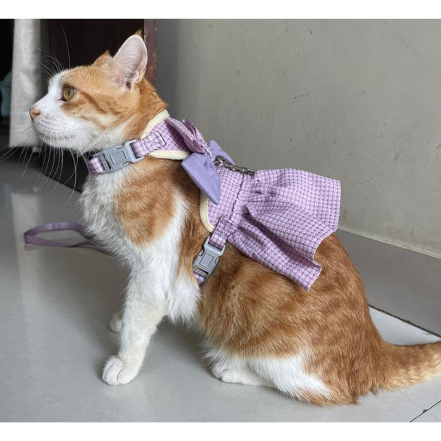 Cat Harness Dress with Bow
