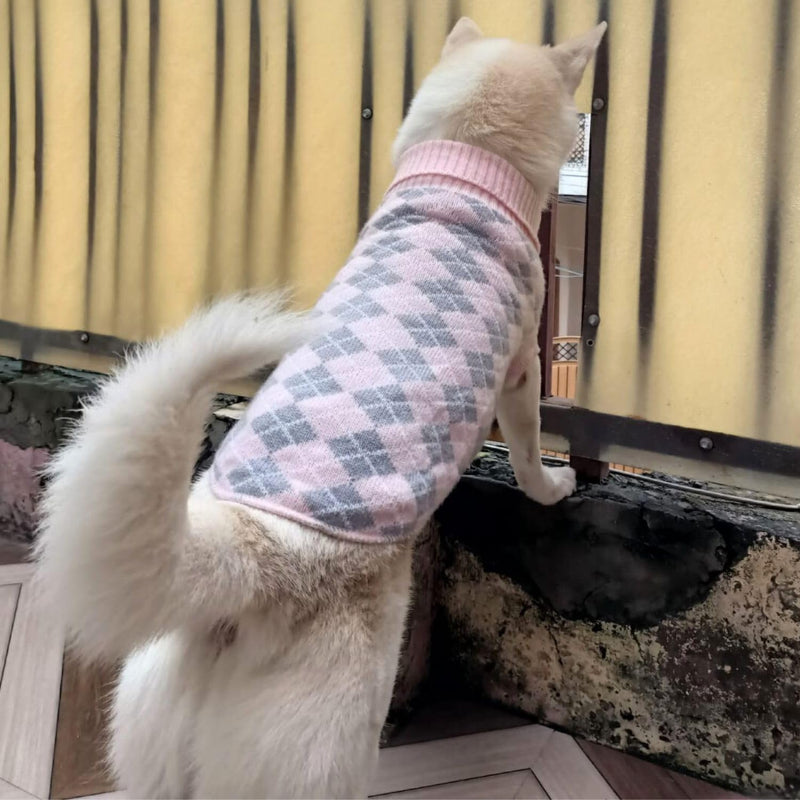 Winter Sweater For Dogs and Cats ( Light Pink )