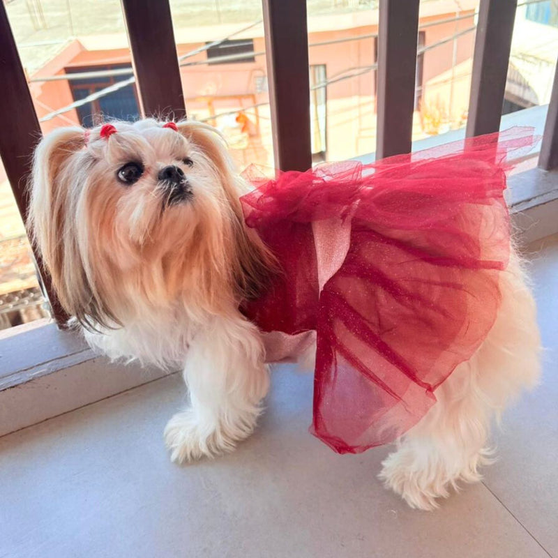 Dog Dress for Girls Dogs and Cats - Red Pink