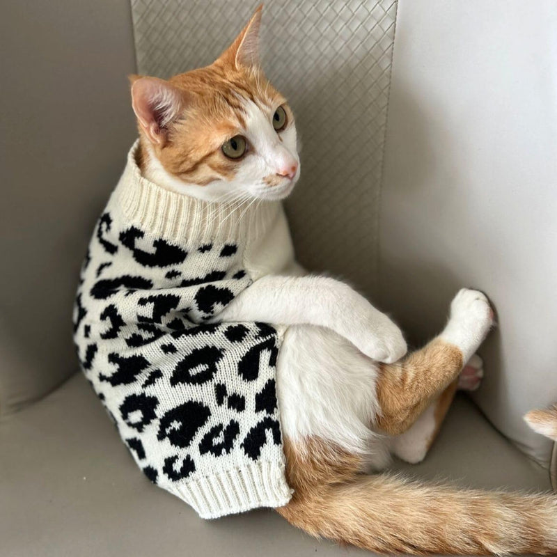 Winter Sweater For Dogs and Cats
