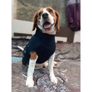 Winter Sweater For Dogs and Cats ( Dark Blue )