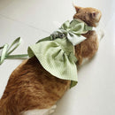 Cat Harness Dress with Bow