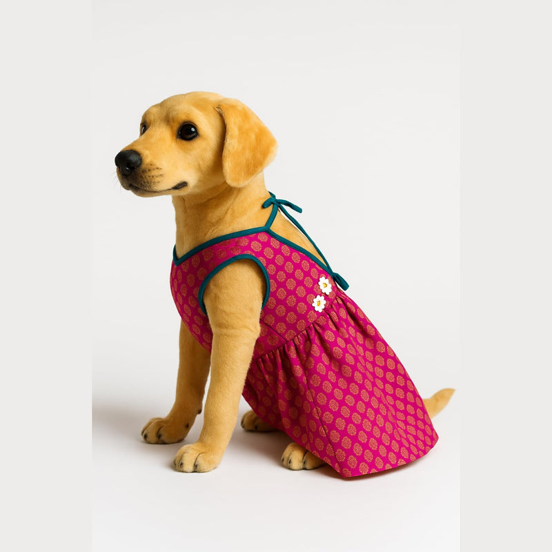 Ethnic Frock with Tie-Up Outfit for Dog & Cat