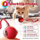 Interactive Cat Toy Ball for Indoor Cats