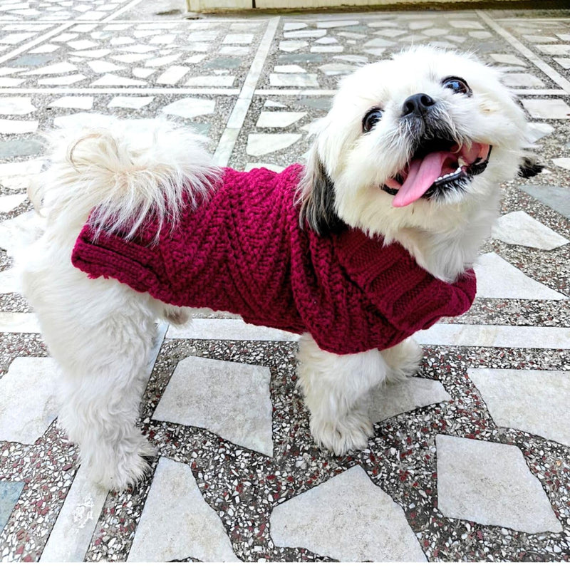 Sweater For Small Dogs Cats (Burgundy)