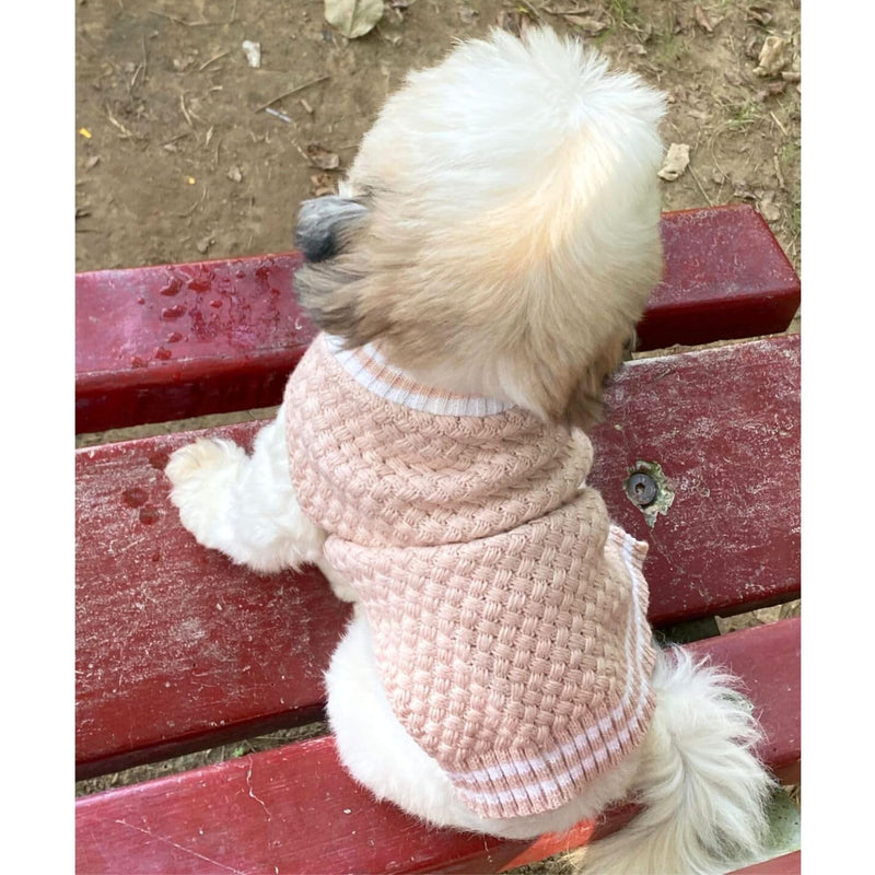 Winter Sweater For Dogs and Cats ( Light Pink )