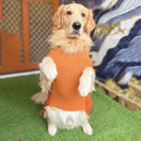 Dog Knitted Sweater for Winter - Orange