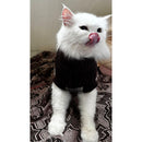 Winter Sweater For Dogs and Cats