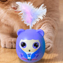 Interactive Cat Teasing Toy for Indoor Cats and Kittens