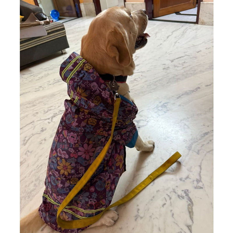Waterproof Hooded Raincoat For Dog Cat