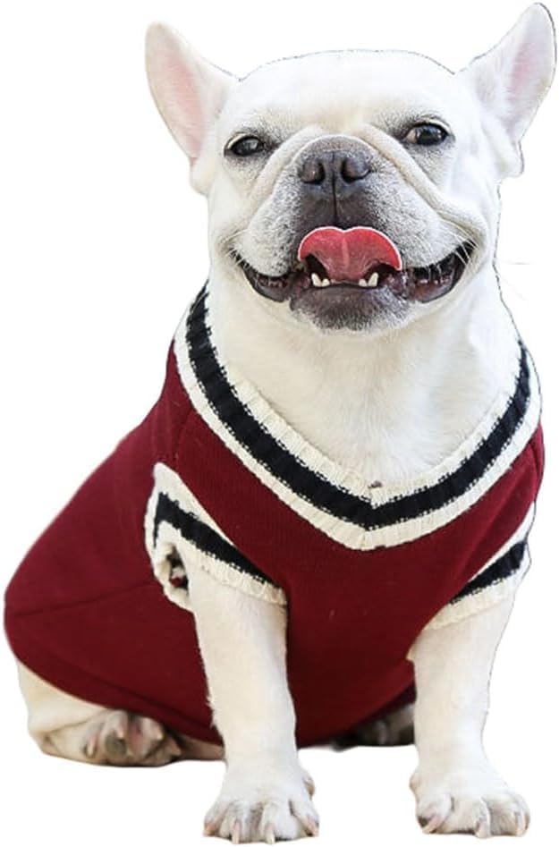 Winter Sweater For Dogs and Cats