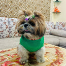 Dog Sweater - Gingerbread Man Design