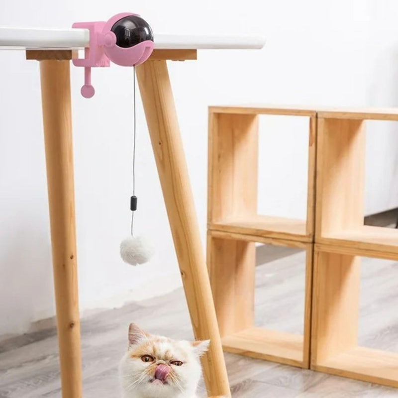 Interactive Toy For Cats & Kittens
