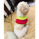 Pet Dog Cape Collar – Stylish Red