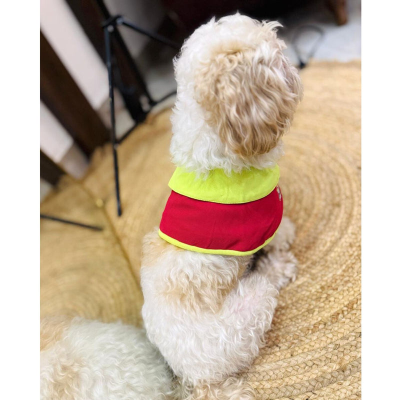Pet Dog Cape Collar – Stylish Red