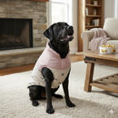 Dog Winter Jacket – Warm & Lightweight Sky Blue