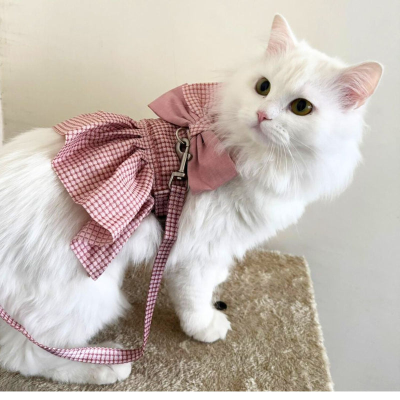 Cat Harness Dress with Bow