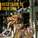 Military Heavy Duty Collar Metal Buckle with Control Handle for Large Dogs (Coyote Brown, L)