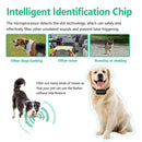 Smart Dog Bark Collar Training for Small to Large Dogs