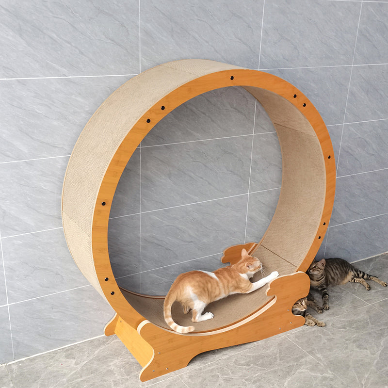 Cat Exercise Wheel for Indoor Cats