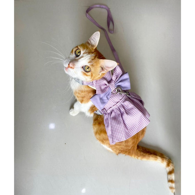 Cat Harness Dress with Bow
