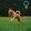 Interactive Treat Dispensing Squeaky Dog Toy for Tough Chewers