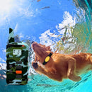 Waterproof Rechargeable Electric Training Collar with Remote for Small Medium Large Dogs