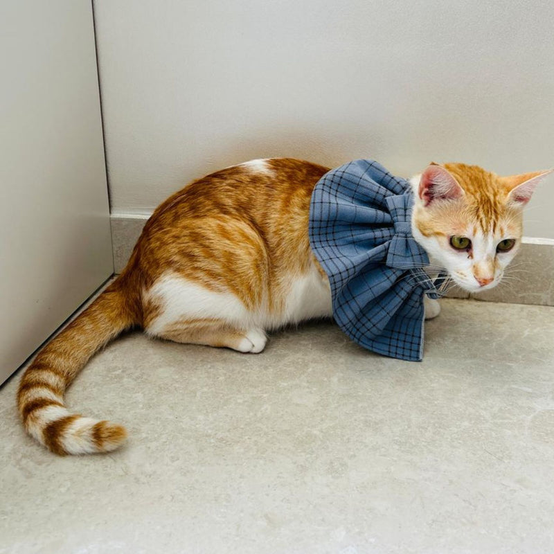STYLISH Cat Bow Tie Collar