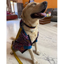 Waterproof Hooded Raincoat For Dog Cat