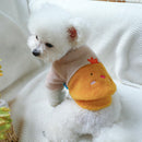 Premium Winter Clothes For Dog & Cat