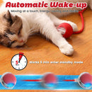 Interactive Cat Toy Ball for Indoor Cats