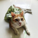 Cat Harness Dress with Bow