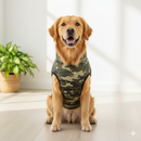 Winter Dog Jacket with Harness for Dogs