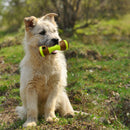 Dumbbell Dog Toy: Non-Toxic Dog Chew Toy