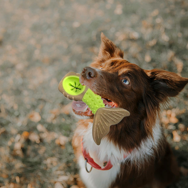 Chew Tail Treat Dispensing Chew Toy For Dogs