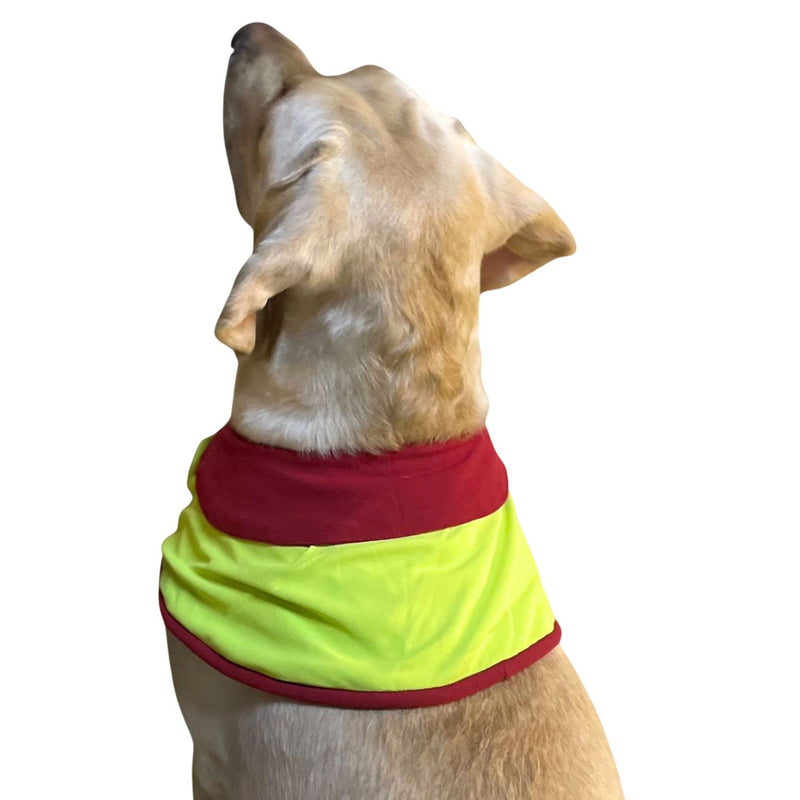 Pet Dog Cape Collar