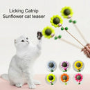 Interactive Teaser Wand with Catnip Ball for Cats